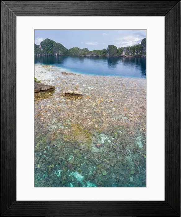 Framed Print : A bird's eye view shows healthy reefs surrounding remote limestone islands in Raja Ampat. This area is known for its incredible marine biodiversity