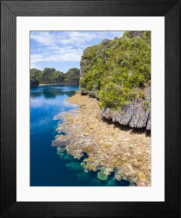 Framed Print : A bird's eye view shows healthy reefs surrounding remote limestone islands in Raja Ampat. This area is known for its incredible marine biodiversity Framed Print : A bird's eye view shows healthy reefs surrounding remote limestone islands in Raja Ampat. This area is known for its incredible marine biodiversity