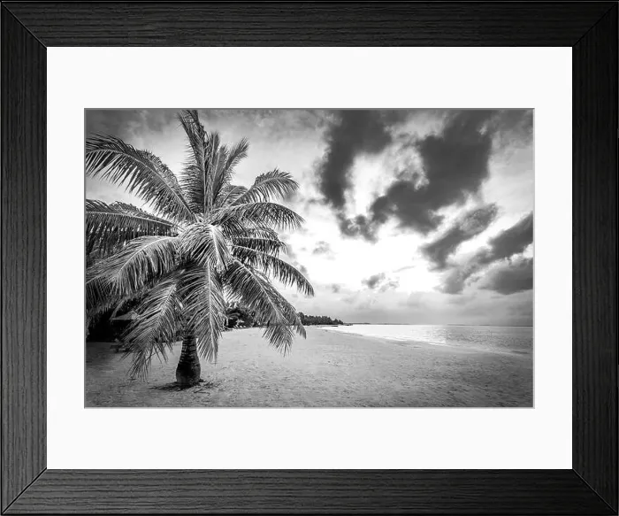 Framed Print : Dramatic landscape of paradise tropical island beach with perfect sunny sky, artistic black and white process Framed Print : Dramatic landscape of paradise tropical island beach with perfect sunny sky, artistic black and white process