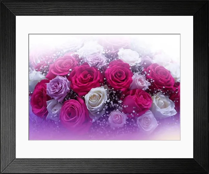 Framed Print : Red Roses Bouquet Isolated on White Background.Beautiful Nature.Floral Art Design.Abstract Macro Photography.Rose Flowers.Creative Artistic Wallpaper Framed Print : Red Roses Bouquet Isolated on White Background.Beautiful Nature.Floral Art Design.Abstract Macro Photography.Rose Flowers.Creative Artistic Wallpaper