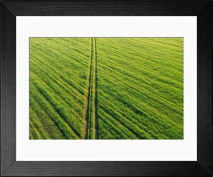Framed Print : Aerial view of country road through green field rural landscape in summer. Top view of countryside road in summer field rural landscape from high Framed Print : Aerial view of country road through green field rural landscape in summer. Top view of countryside road in summer field rural landscape from high