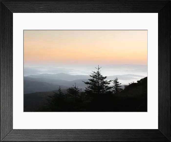 Framed Print : Morning fog in autumn mountains. Fir trees silhouettes on foreground. Beautiful sunrise on background. Landscape photography Framed Print : Morning fog in autumn mountains. Fir trees silhouettes on foreground. Beautiful sunrise on background. Landscape photography