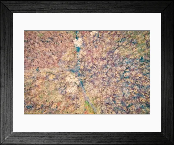 Framed Print : Stunning aerial view of road with curves crossing dense forest in autumn colors. Aerial landscape of autumn forest. Colorful nature view, top view Framed Print : Stunning aerial view of road with curves crossing dense forest in autumn colors. Aerial landscape of autumn forest. Colorful nature view, top view