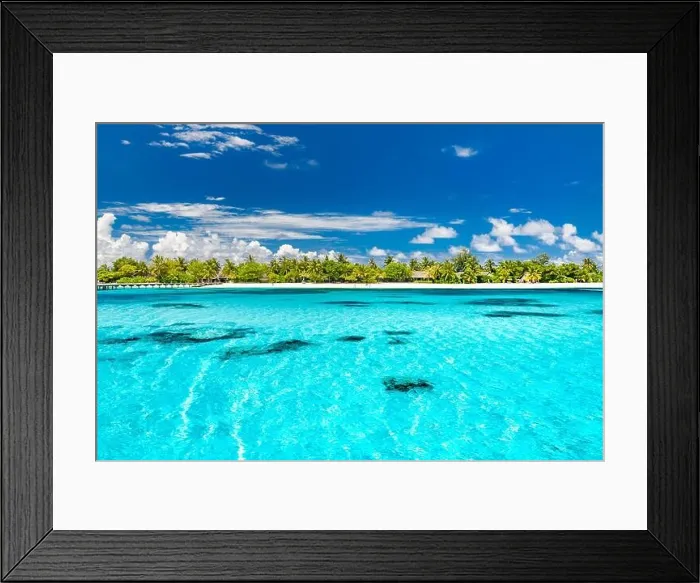 Framed Print : Tropical beach in the Maldives Framed Print : Tropical beach in the Maldives