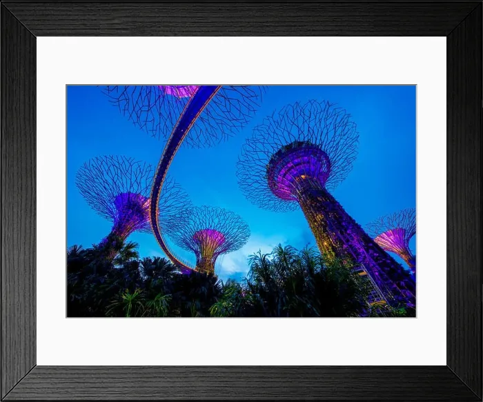 Framed Print : Supertree garden at night, Garden by the Bay, Singapore Framed Print : Supertree garden at night, Garden by the Bay, Singapore