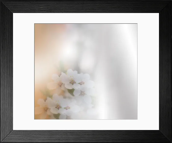 Framed Print : Beautiful spring nature blossom web banner or header. Blurred space for your text.Artistic Background.Wedding Invitation, anniversary card.Art Flowers Framed Print : Beautiful spring nature blossom web banner or header. Blurred space for your text.Artistic Background.Wedding Invitation, anniversary card.Art Flowers
