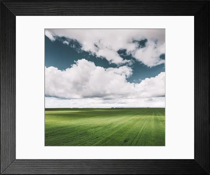 Framed Print : Countryside Rural Field Landscape With Young Wheat Sprouts In Spring Summer Cloudy Day. Agricultural Field. Young Wheat Shoots. Aerial View Framed Print : Countryside Rural Field Landscape With Young Wheat Sprouts In Spring Summer Cloudy Day. Agricultural Field. Young Wheat Shoots. Aerial View