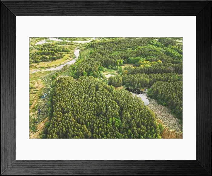 Framed Print : Aerial View Green Forest Woods And River Marsh In Summer Landscape. Top View Of Beautiful European Nature From High Attitude In Summer Season. Drone Framed Print : Aerial View Green Forest Woods And River Marsh In Summer Landscape. Top View Of Beautiful European Nature From High Attitude In Summer Season. Drone