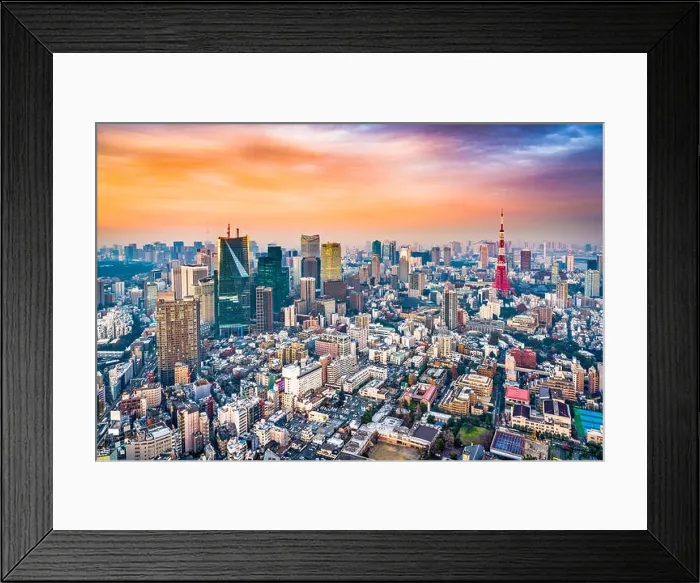 Framed Print : Tokyo, Japan skyline