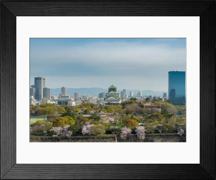 Framed Print : Osaka castle with cherry blossom and center business district in background at Osaka, Japan. Japan spring beautiful scene Framed Print : Osaka castle with cherry blossom and center business district in background at Osaka, Japan. Japan spring beautiful scene