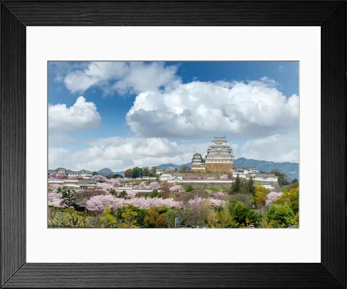 Framed Print : Cherry blossom flowers season with Himeji castle in Himeji city, Hyogo near Osaka, Japan Framed Print : Cherry blossom flowers season with Himeji castle in Himeji city, Hyogo near Osaka, Japan