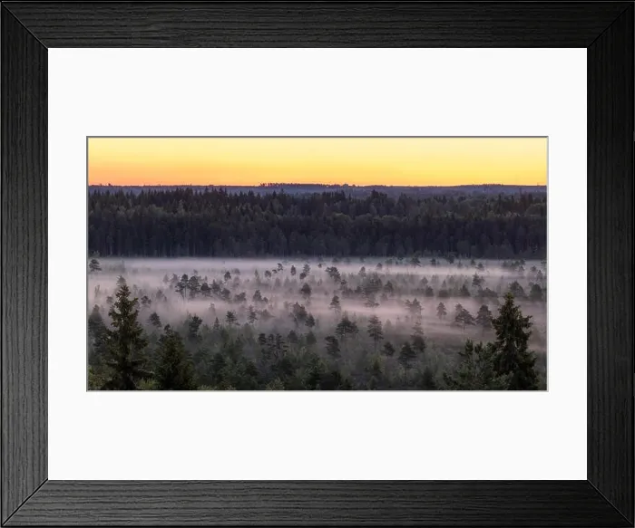 Framed Print : Morning fog and sunrise in Torronsuo National Park, Finland Framed Print : Morning fog and sunrise in Torronsuo National Park, Finland