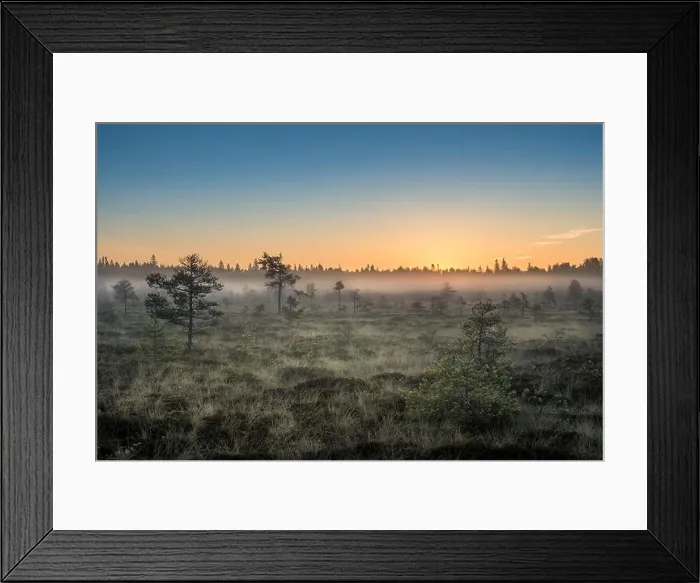 Framed Print : Morning fog and sunrise in Torronsuo National Park, Finland Framed Print : Morning fog and sunrise in Torronsuo National Park, Finland