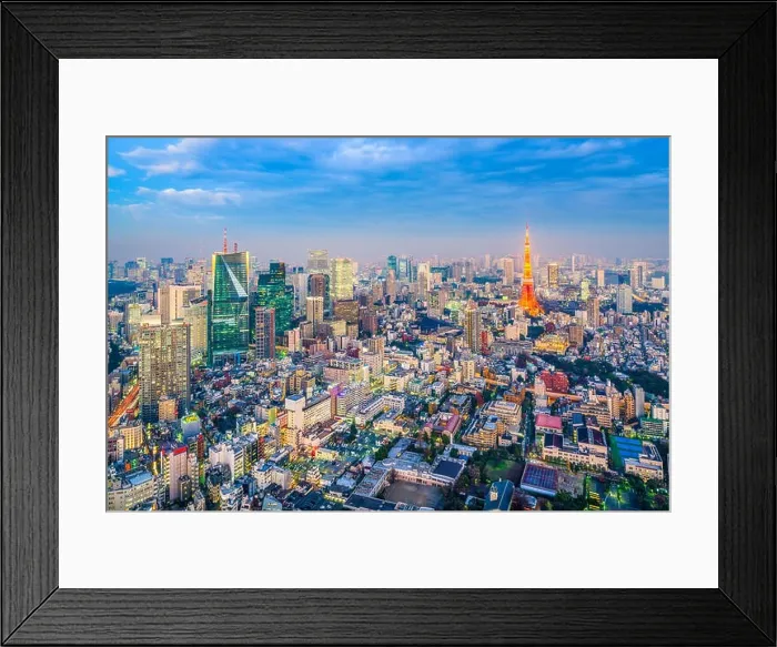 Framed Print : Tokyo, Japan skyline Framed Print : Tokyo, Japan skyline