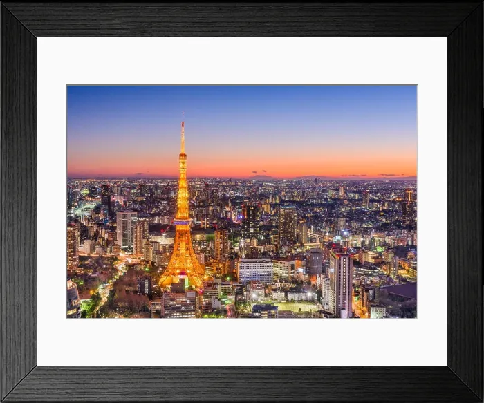 Framed Print : Tokyo, Japan Skyline Framed Print : Tokyo, Japan Skyline