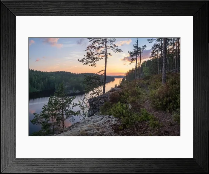 Framed Print : Scenic forest landscape with beautiful sunset and sunlight at summer evening in Finland Framed Print : Scenic forest landscape with beautiful sunset and sunlight at summer evening in Finland