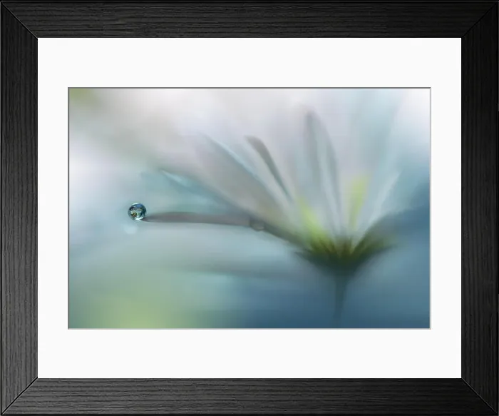Framed Print : Beautiful Nature Background.Colorful Artistic Wallpaper.Natural Macro Photography.Beauty in Nature.Creative Floral Art.Tranquil scene.Abstract Flowers Framed Print : Beautiful Nature Background.Colorful Artistic Wallpaper.Natural Macro Photography.Beauty in Nature.Creative Floral Art.Tranquil scene.Abstract Flowers