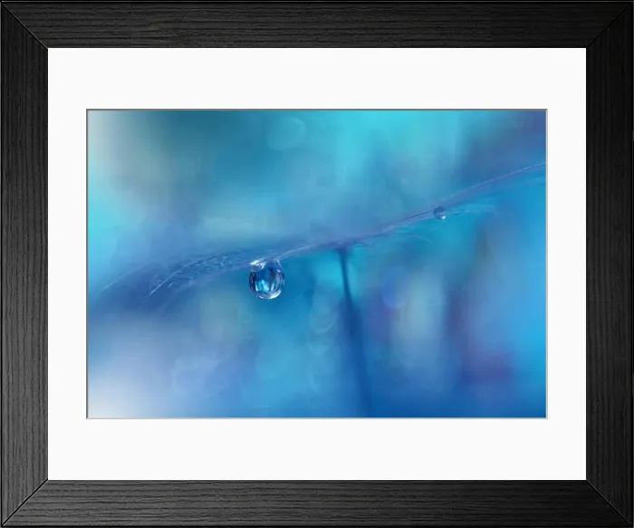 Framed Print : Abstract macro photo with water drops. Dandelion seed.Artistic Background for desktop.Blue Wallpaper.Floral fantasy design.Art photography Framed Print : Abstract macro photo with water drops. Dandelion seed.Artistic Background for desktop.Blue Wallpaper.Floral fantasy design.Art photography
