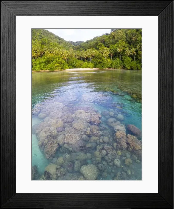Framed Print : Aerial view of reef and island in Papua New Guinea. The remote, tropical islands in this region are home to extraordinary marine biodiversity Framed Print : Aerial view of reef and island in Papua New Guinea. The remote, tropical islands in this region are home to extraordinary marine biodiversity
