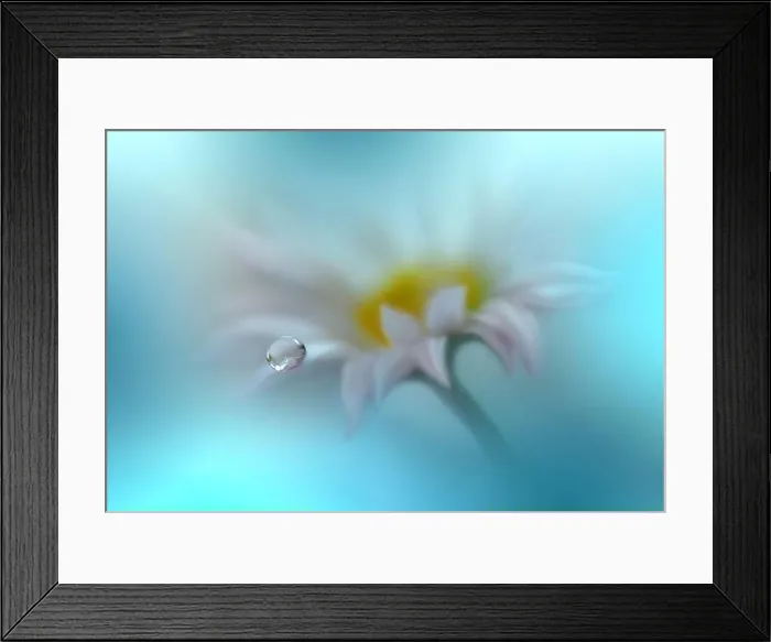 Framed Print : Beautiful Nature Background.Floral Art Design.Abstract Macro Photography.White Flower.Green Background.Creative Artistic Wallpaper.Turquoise Color Framed Print : Beautiful Nature Background.Floral Art Design.Abstract Macro Photography.White Flower.Green Background.Creative Artistic Wallpaper.Turquoise Color