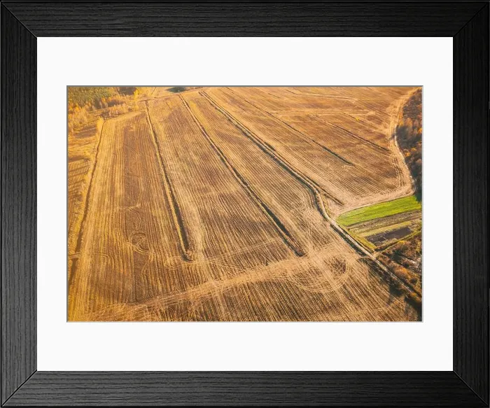 Framed Print : Aerial view autumn field landscape with trails lines. Top view of empty clean field in sunny autumn day. Drone view bird's eye view. High attitude in Framed Print : Aerial view autumn field landscape with trails lines. Top view of empty clean field in sunny autumn day. Drone view bird's eye view. High attitude in