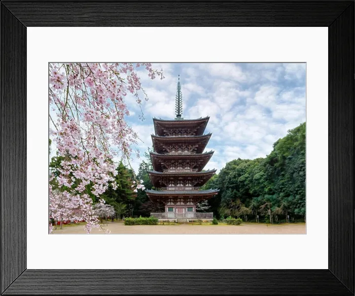 Framed Print : Five Storied Pagoda with Japan cherry blossom in Daigoji Temple in Fushimi Ward, Kyoto City, Japan. Cherry blossom season in Kyoto, Japan Framed Print : Five Storied Pagoda with Japan cherry blossom in Daigoji Temple in Fushimi Ward, Kyoto City, Japan. Cherry blossom season in Kyoto, Japan