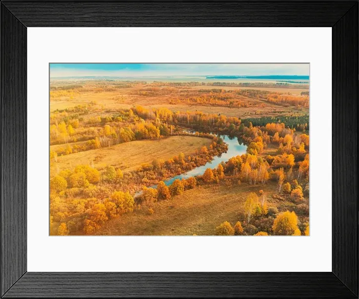 Framed Print : Aerial view yellow forest and curved river landscape in sunny autumn day. Top view of beautiful european nature from high attitude in autumn season