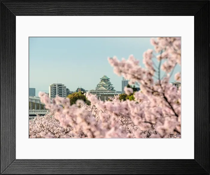 Framed Print : Osaka castle with cherry blossom in Osaka; Japan. Japan spring beautiful scene Framed Print : Osaka castle with cherry blossom in Osaka; Japan. Japan spring beautiful scene