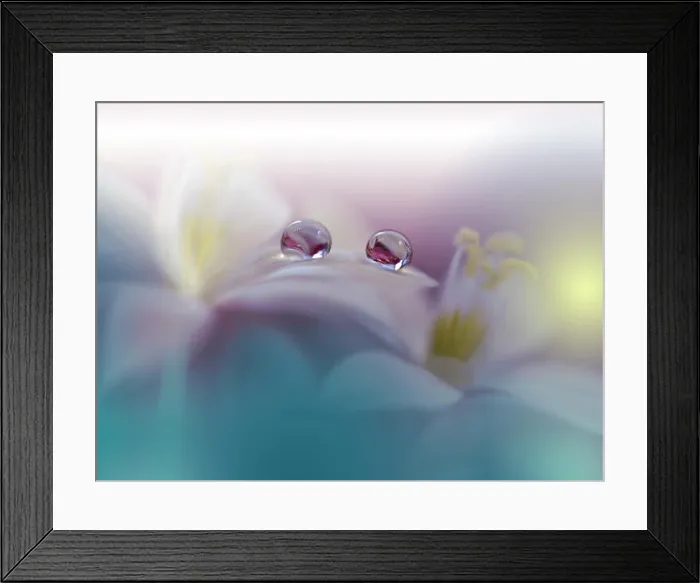 Framed Print : Beautiful Green Nature Background.Colorful Artistic Wallpaper.Natural Macro Photography.Beauty in Nature.Creative Floral Art.Tranquil nature closeup Framed Print : Beautiful Green Nature Background.Colorful Artistic Wallpaper.Natural Macro Photography.Beauty in Nature.Creative Floral Art.Tranquil nature closeup