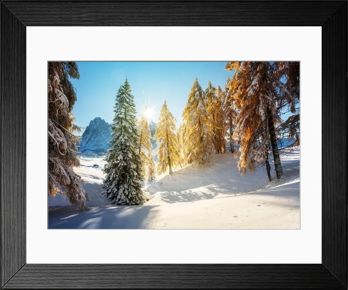 Framed Print : Picturesque landscape with orange larches covered by first snow on meadow Alpe di Siusi, Seiser Alm, Dolomites, Italy Framed Print : Picturesque landscape with orange larches covered by first snow on meadow Alpe di Siusi, Seiser Alm, Dolomites, Italy