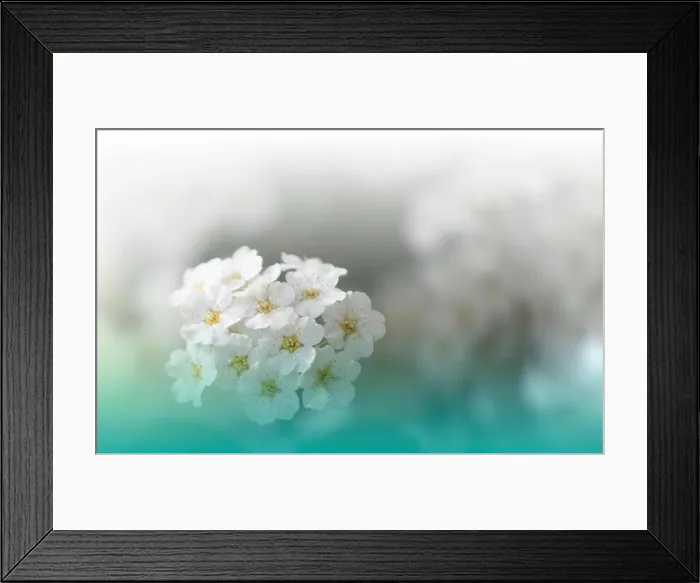 Framed Print : Beautiful Green Nature Background.Colorful Artistic Wallpaper.Natural Macro Photography.Beauty in Nature.Creative Floral Art.Tranquil scene.White.Web Framed Print : Beautiful Green Nature Background.Colorful Artistic Wallpaper.Natural Macro Photography.Beauty in Nature.Creative Floral Art.Tranquil scene.White.Web
