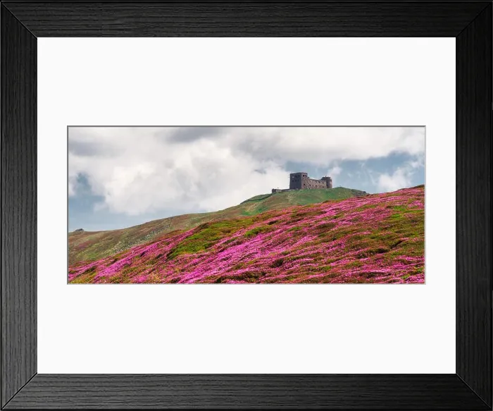 Framed Print : Magic pink rhododendron flowers on summer Carpathian mountains. Old Polish observatory on Pip Ivan mountain. Landscape photography Framed Print : Magic pink rhododendron flowers on summer Carpathian mountains. Old Polish observatory on Pip Ivan mountain. Landscape photography
