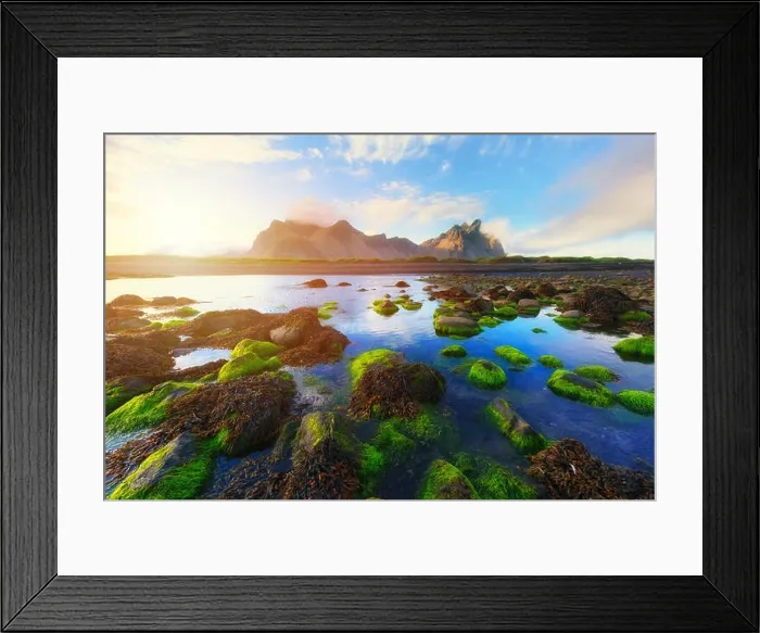 Framed Print : Famous Stokksnes mountains and green water-plants, Iceland Framed Print : Famous Stokksnes mountains and green water-plants, Iceland