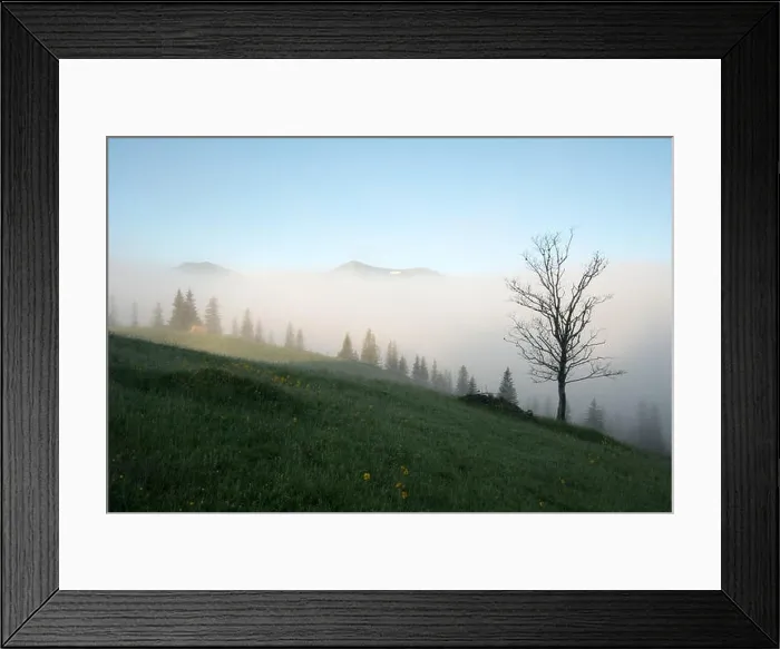 Framed Print : Mountain valley during sunrise. Alone tree on foggy meadow. Located place: Carpathians, Ukraine, Europe Framed Print : Mountain valley during sunrise. Alone tree on foggy meadow. Located place: Carpathians, Ukraine, Europe