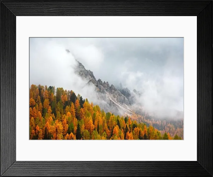 Framed Print : Incredible autumn view at Italian Dolomite Alps. Orange larches forest and foggy mountains peaks on background. Dolomites, Italy Framed Print : Incredible autumn view at Italian Dolomite Alps. Orange larches forest and foggy mountains peaks on background. Dolomites, Italy