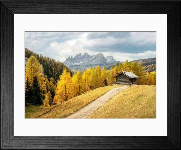 Framed Print : Incredible autumn view at Valfreda valley in Italian Dolomite Alps. Wooden cabin, yellow grass Framed Print : Incredible autumn view at Valfreda valley in Italian Dolomite Alps. Wooden cabin, yellow grass