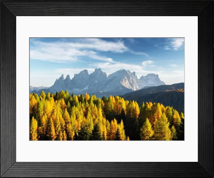 Framed Print : Incredible autumn view at Valfreda valley in Italian Dolomite Alps. Yellow and orange larches forest and snowy mountains peaks on background Framed Print : Incredible autumn view at Valfreda valley in Italian Dolomite Alps. Yellow and orange larches forest and snowy mountains peaks on background