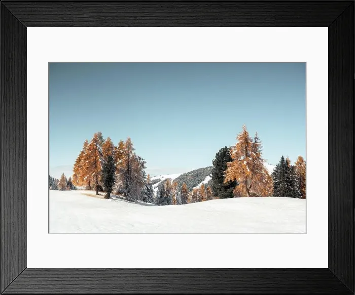 Framed Print : Picturesque landscape with orange larches covered by first snow on meadow Alpe di Siusi, Seiser Alm, Dolomites, Italy Framed Print : Picturesque landscape with orange larches covered by first snow on meadow Alpe di Siusi, Seiser Alm, Dolomites, Italy