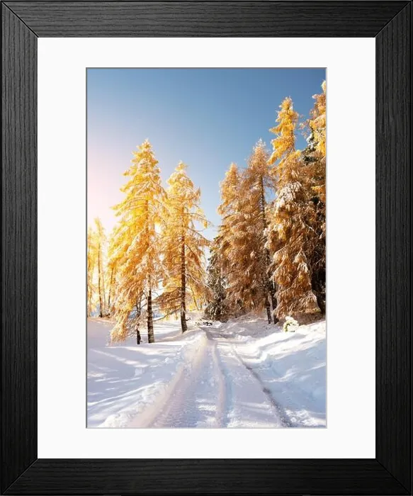 Framed Print : Picturesque landscape with orange larches covered by first snow on meadow Alpe di Siusi, Seiser Alm, Dolomites, Italy Framed Print : Picturesque landscape with orange larches covered by first snow on meadow Alpe di Siusi, Seiser Alm, Dolomites, Italy