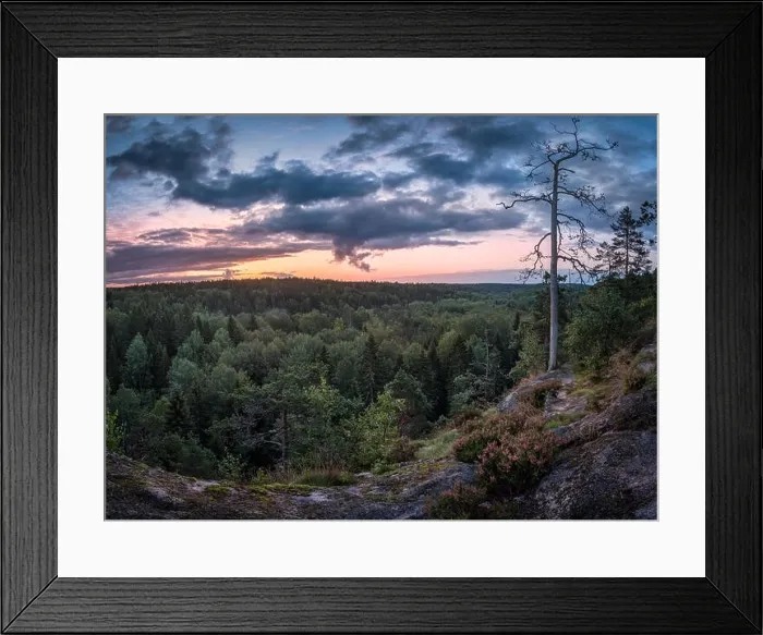 Framed Print : Scenic landscape with sunrise and forest at early morning in National Park Nuuksio, Finland Framed Print : Scenic landscape with sunrise and forest at early morning in National Park Nuuksio, Finland