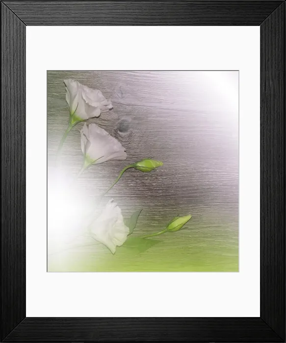 Framed Print : White Spring Flowers on Old Vintage Wood Background.Beautiful Nature Wallpaper.Web Banner for design.Art photography.Artistic Floral Background.Wooden Framed Print : White Spring Flowers on Old Vintage Wood Background.Beautiful Nature Wallpaper.Web Banner for design.Art photography.Artistic Floral Background.Wooden