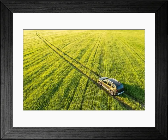Framed Print : Aerial view of Renault Duster car SUV driving on countryside road in spring field rural landscape. Car driving on corn maize plantation Framed Print : Aerial view of Renault Duster car SUV driving on countryside road in spring field rural landscape. Car driving on corn maize plantation