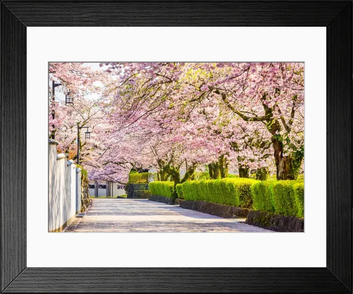 Framed Print : Shizuoka, Japan old town streetts in Spring in Spring season Framed Print : Shizuoka, Japan old town streetts in Spring in Spring season