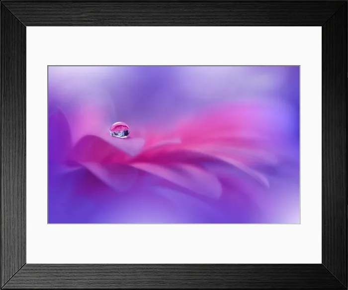 Framed Print : Beautiful Macro Photo.Colorful Flowers.Border Art Design.Magic Light.Close up Photography.Conceptual Abstract Image.Violet and Blue Background.Drop