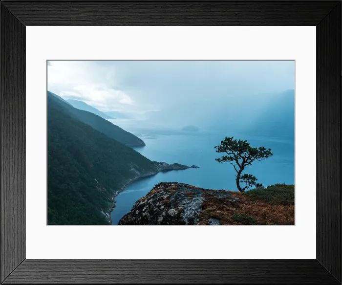 Framed Print : Misty morning on Tingvollfjorden flord Vettamyra, More og Romsdal county, Norway Framed Print : Misty morning on Tingvollfjorden flord Vettamyra, More og Romsdal county, Norway