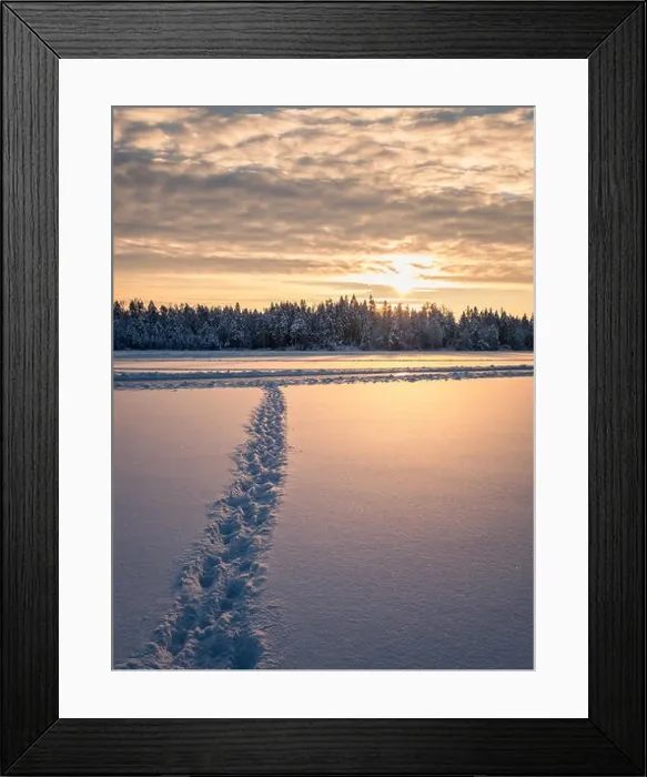Framed Print : Snowy landscape at sunrise, frozen trees in winter in Finland Framed Print : Snowy landscape at sunrise, frozen trees in winter in Finland
