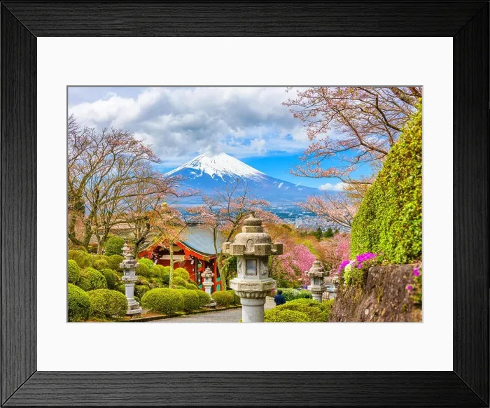 Framed Print : Gotemba City, Japan at Peace Park with Mt. Fuji in spring season Framed Print : Gotemba City, Japan at Peace Park with Mt. Fuji in spring season