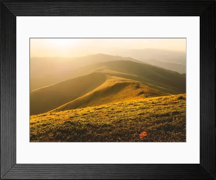 Framed Print : Yellow grass trembling in the wind in autumn mountains at sunrise. Carpathian mountains, Ukraine. Landscape photography Framed Print : Yellow grass trembling in the wind in autumn mountains at sunrise. Carpathian mountains, Ukraine. Landscape photography