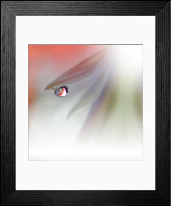 Framed Print : Beautiful Nature Macro Photography.Abstract Colorful Background.Orange and Green Colors.Creative Artwork.Spring White Flowers.Artistic Floral Art Framed Print : Beautiful Nature Macro Photography.Abstract Colorful Background.Orange and Green Colors.Creative Artwork.Spring White Flowers.Artistic Floral Art