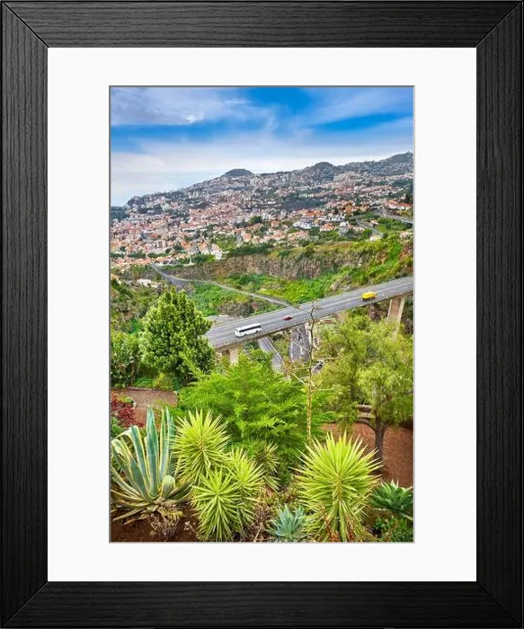 Framed Print : View of the Funchal from Botanical gardens, Funchal, Madeira Island, Portugal Framed Print : View of the Funchal from Botanical gardens, Funchal, Madeira Island, Portugal